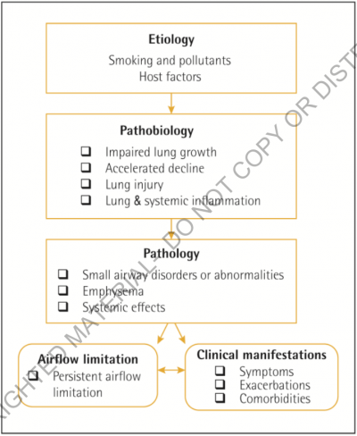 Etiology, pathobiology and pathology of COPD leading to airflow limitation and clinical manifestations (GOLD 2018)