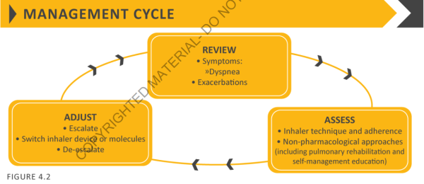 Cycle de management et de suivi (GOLD 2019)