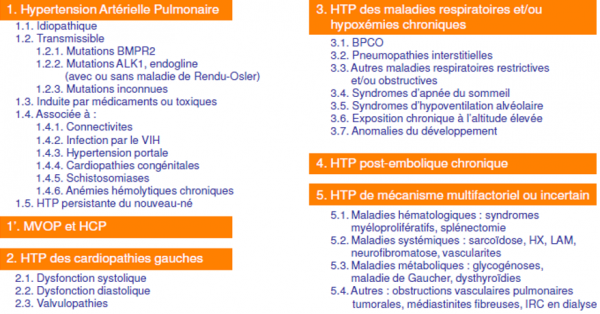 Classification des HTP (Nice, 2013)