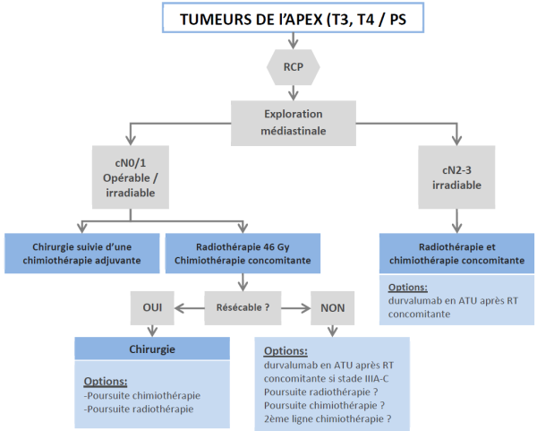 Arbre décisionnel : Tumeurs de l'apex