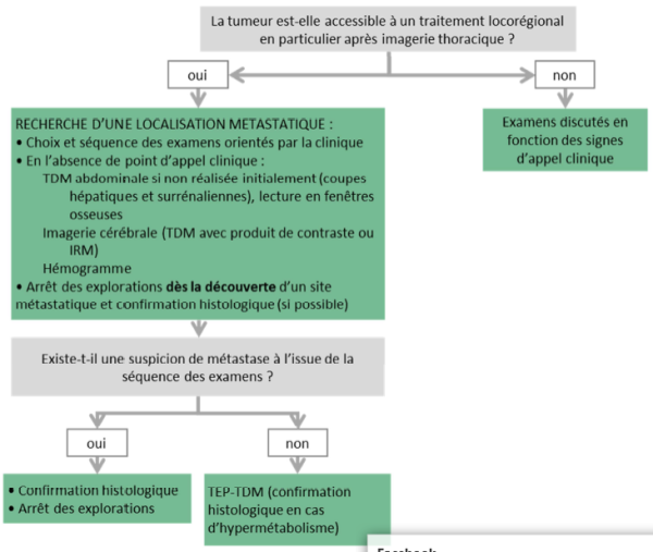 Arbre d'aide à la décision pour le bilan d'extension des cancers bronchiques