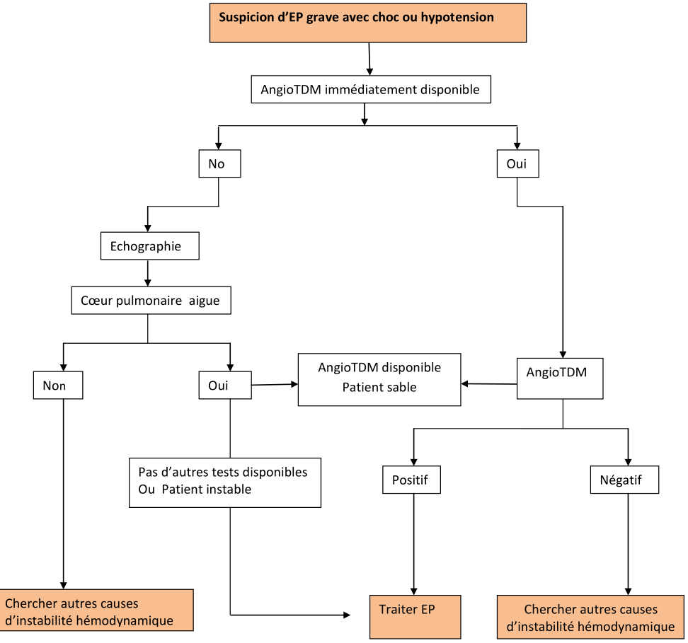 fetch.php?media=cours:residanat:pneumologie:strategie_diagnostic_ep_grave.png