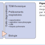 pneumonie_immunodeprime_arbre_decisionnel.png