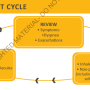 gold2019_chap4_management-cycle.png