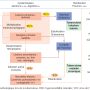 tbk_equilibre-physiopathologique.png