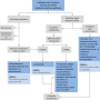 neos_cbnpc_mutation-egfr.png